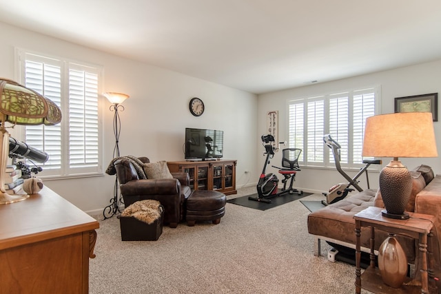 1806 Peyton Ter, Shorewood, IL 60404 - carpeted living area with baseboards