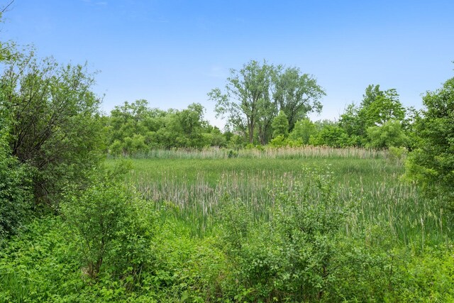 740 Countryfield Ln, Elgin, IL 60120 - photo 16