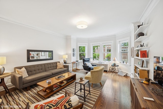 1112 Ontario St Unit 1E, Oak Park, IL 60302 - living area featuring radiator heating unit, crown molding, wood finished floors, and baseboards