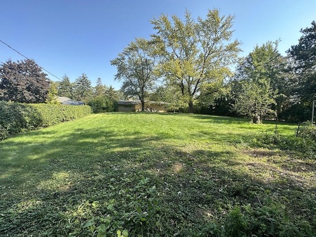 view of grassy yard