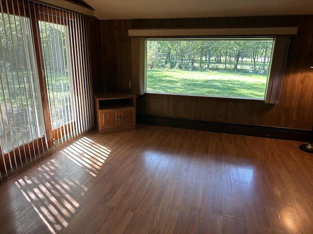 spare room with healthy amount of natural light, wooden walls, and wood finished floors