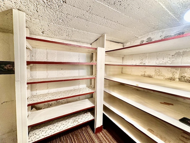 1115 E Wilson St, Streator, IL 61364 - view of storage