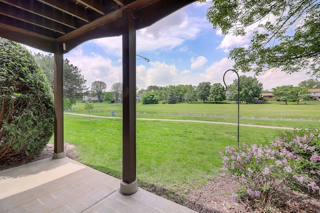2169 Sunderland Ct Unit 101B, Naperville, IL 60565 - view of green lawn with a patio area