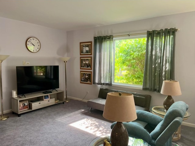 21148 W Cypress Ln, Plainfield, IL 60544 - living room featuring carpet floors and baseboards