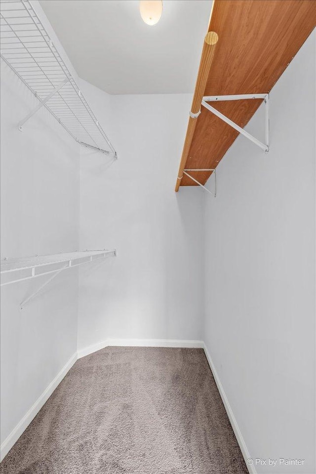 21148 W Cypress Ln, Plainfield, IL 60544 - walk in closet featuring carpet