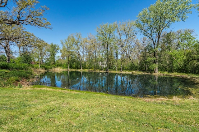 1N341 Indian Knoll Rd, West Chicago, IL 60185 - water view