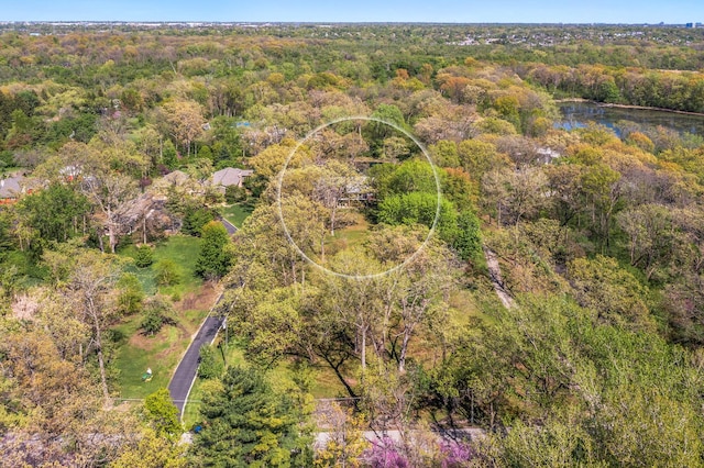 1N341 Indian Knoll Rd, West Chicago, IL 60185 - aerial view of a forest and a nearby body of water