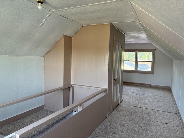 953 11th St N, Rochelle, IL 60168 - bonus room featuring vaulted ceiling, a textured ceiling, and carpet