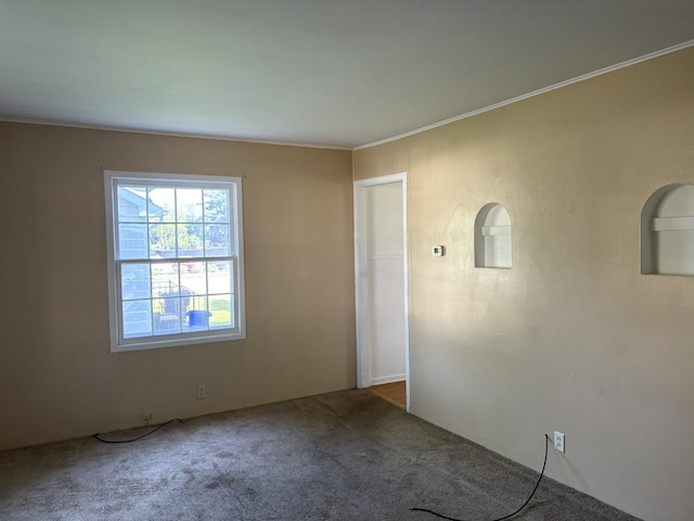 953 11th St N, Rochelle, IL 60168 - spare room featuring carpet floors and ornamental molding