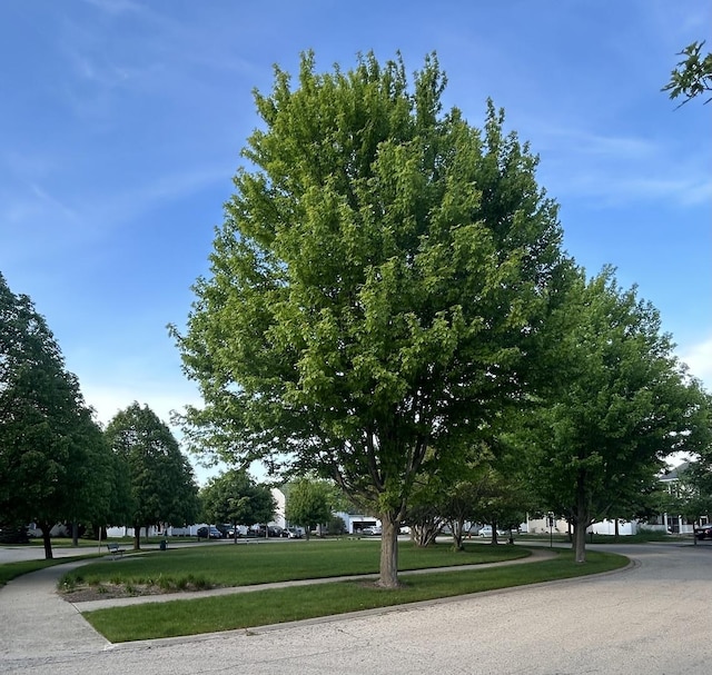 554 Truman Dr, Oswego, IL 60543 - view of property's community with a lawn