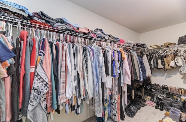 spacious closet featuring carpet flooring
