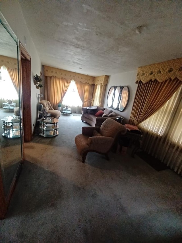 carpeted living area with a textured ceiling