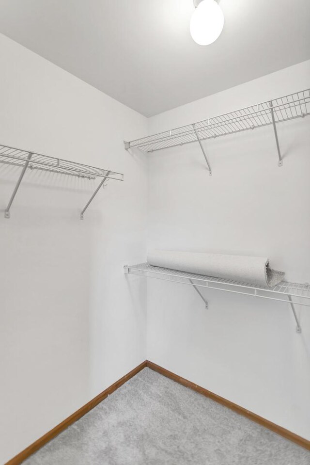 6850 W Winding Trl Unit 406, Oak Forest, IL 60452 - walk in closet with light carpet