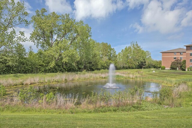 6850 W Winding Trl Unit 406, Oak Forest, IL 60452 - water view