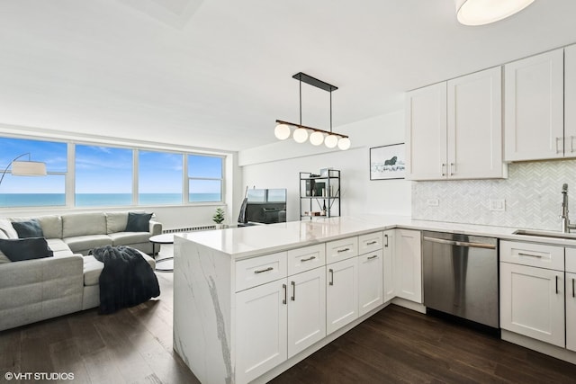 kitchen featuring stainless steel dishwasher, a sink, a peninsula, and dark wood-style floors