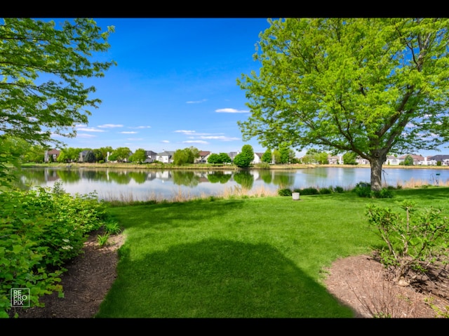 11911 Winterberry Ln, Plainfield, IL 60585 - view of green lawn with a water view