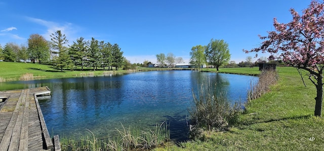 8311 Haligus Rd, Huntley, IL 60142 - water view featuring a dock