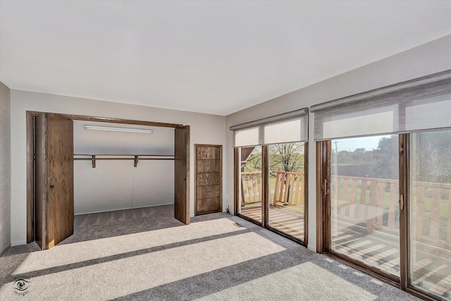 2958 N 1100 E Rd, Clifton, IL 60927 - unfurnished bedroom featuring access to exterior, carpet flooring, and a closet