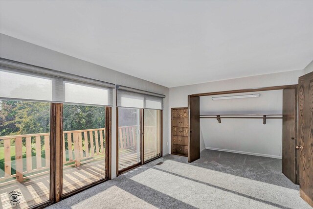 2958 N 1100 E Rd, Clifton, IL 60927 - unfurnished bedroom featuring carpet flooring and baseboards