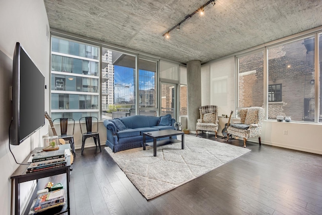 1345 S Wabash Ave Unit 710, Chicago, IL 60605 - living area featuring track lighting, wood finished floors, expansive windows, and baseboards