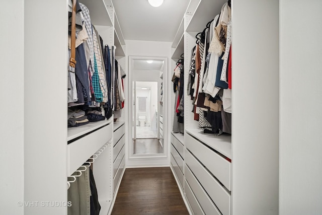921 Harlem Ave Unit 1, Glenview, IL 60025 - spacious closet with dark wood-type flooring