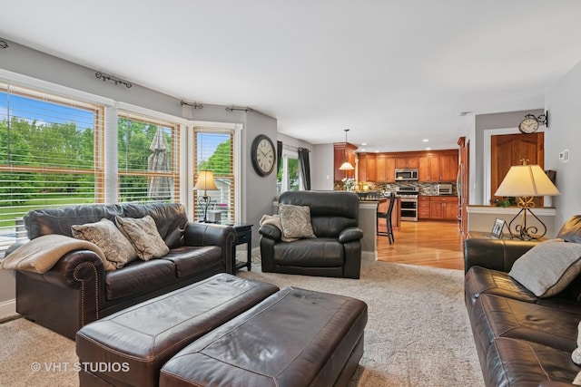 384 Edgewater Ct, Sugar Grove, IL 60554 - living room with light carpet