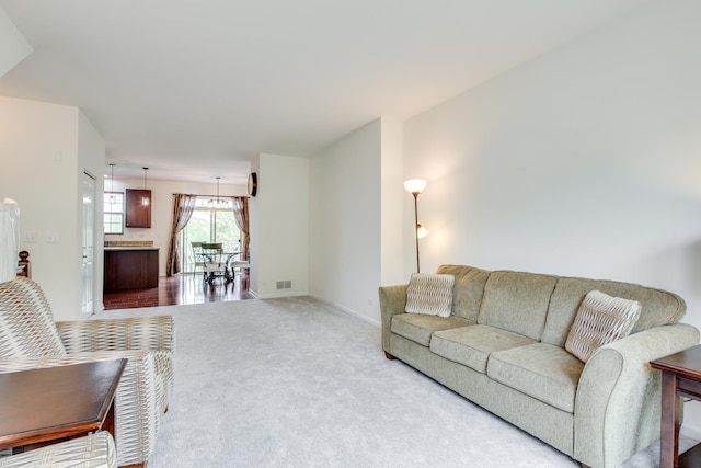 0N067 Preserve Ct Unit 67, Winfield, IL 60190 - carpeted living room with baseboards