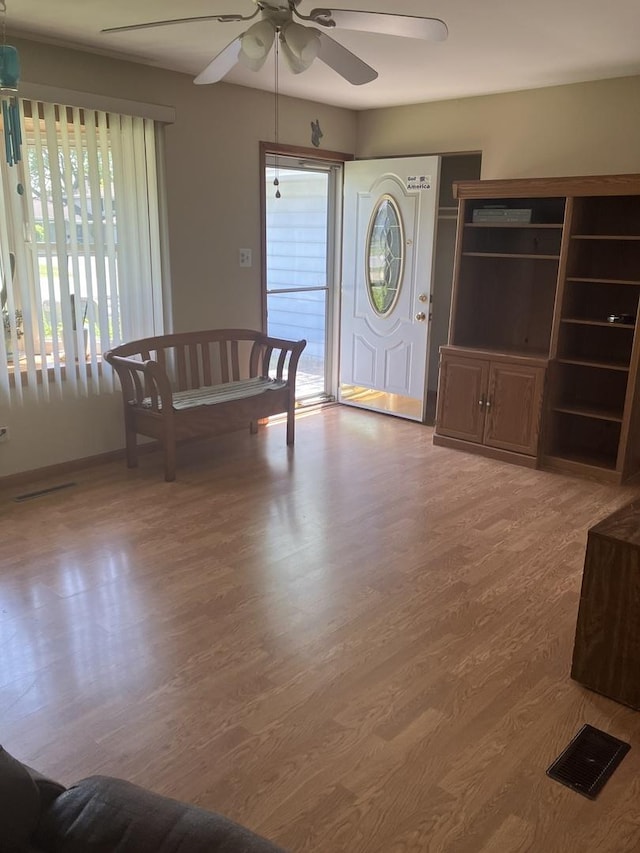 22 Emery Dr, Bourbonnais, IL 60914 - entryway featuring a ceiling fan, plenty of natural light, wood finished floors, and baseboards