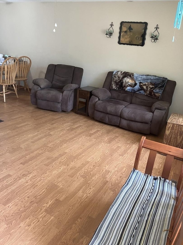 22 Emery Dr, Bourbonnais, IL 60914 - living room with wood finished floors