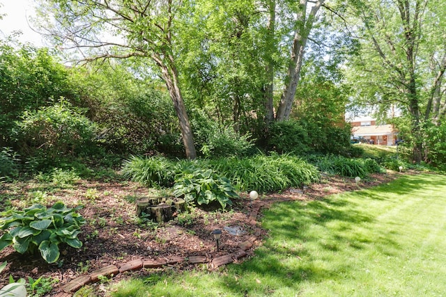 311 Hillside Ln, Bloomington, IL 61701 - view of grassy yard