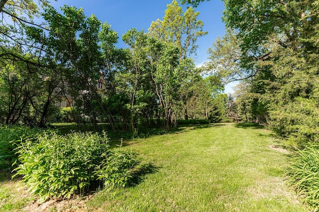 706 Washington Ave, Dixon, IL 61021 - view of green lawn