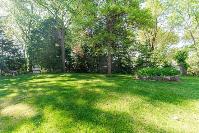 706 Washington Ave, Dixon, IL 61021 - view of grassy yard