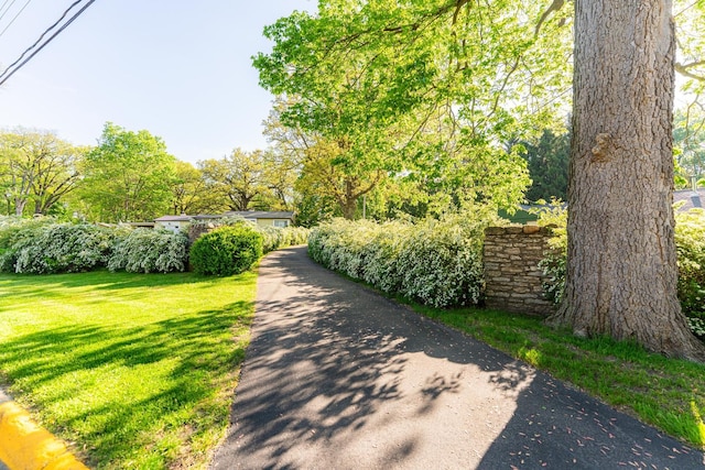 706 Washington Ave, Dixon, IL 61021 - view of home's community featuring a lawn