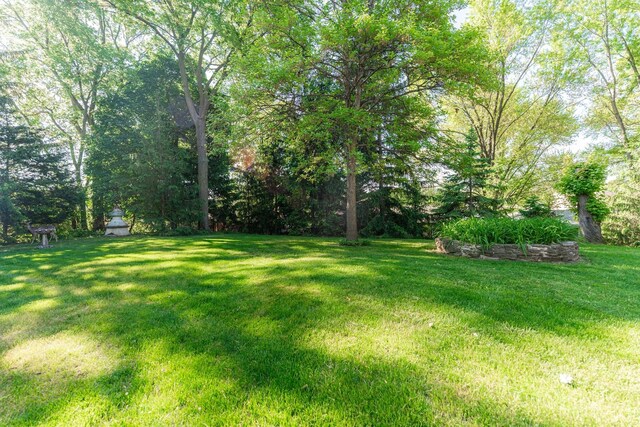 706 Washington Ave, Dixon, IL 61021 - view of green lawn