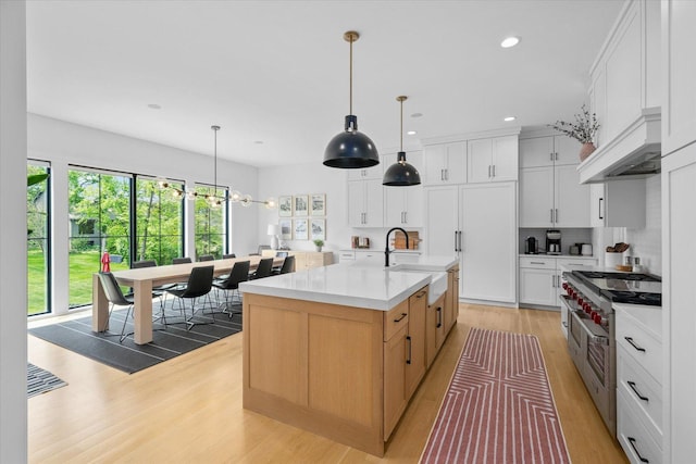 2S384 Madison St, Wheaton, IL 60189 - kitchen with a sink, light wood-style flooring, light countertops, premium range hood, and decorative backsplash