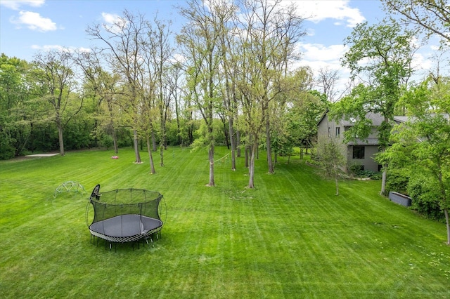 2S384 Madison St, Wheaton, IL 60189 - view of grassy yard featuring a trampoline
