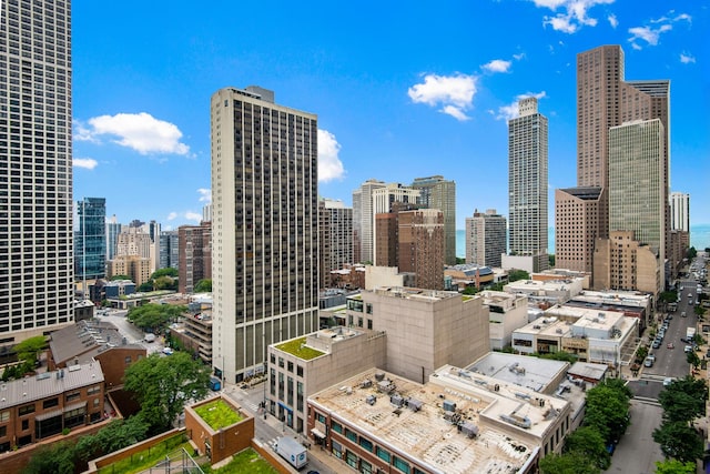 9 W Walton St Unit 1702, Chicago, IL 60610 - city view