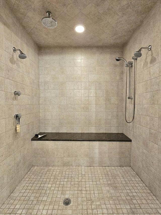242 Hampshire Ct, New Lenox, IL 60451 - bathroom with a tile shower