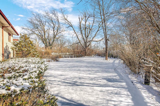 3026 Macfarlane, Flossmoor, IL 60422 - view of snowy yard