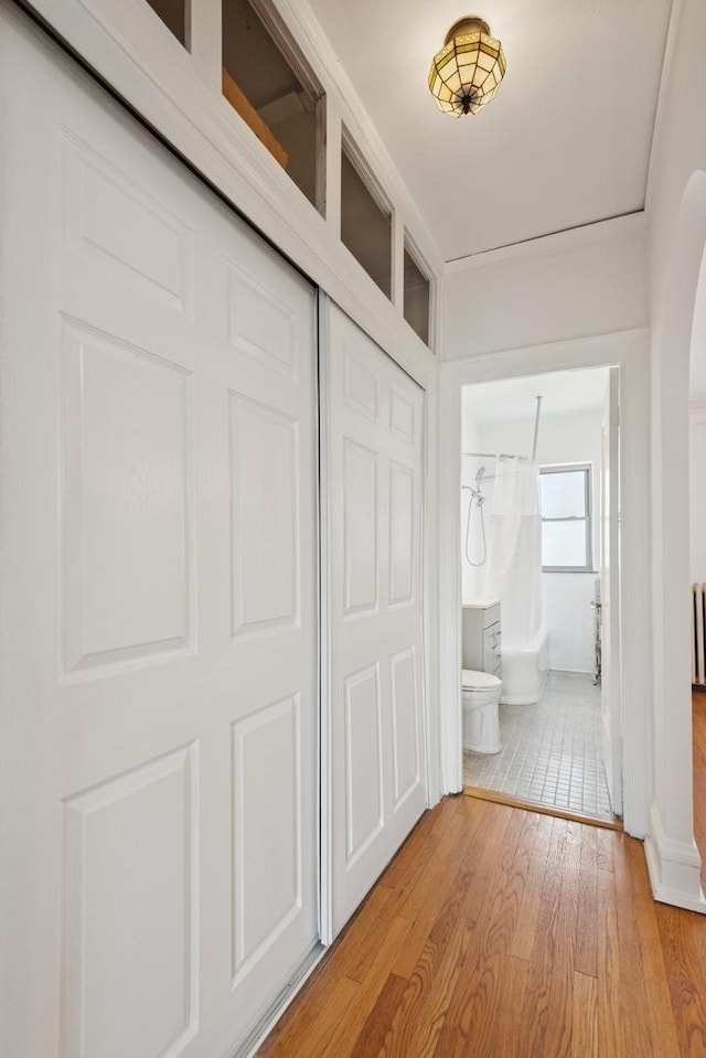 6205 N Oakley St Unit 3, Chicago, IL 60659 - corridor featuring light wood-type flooring and arched walkways