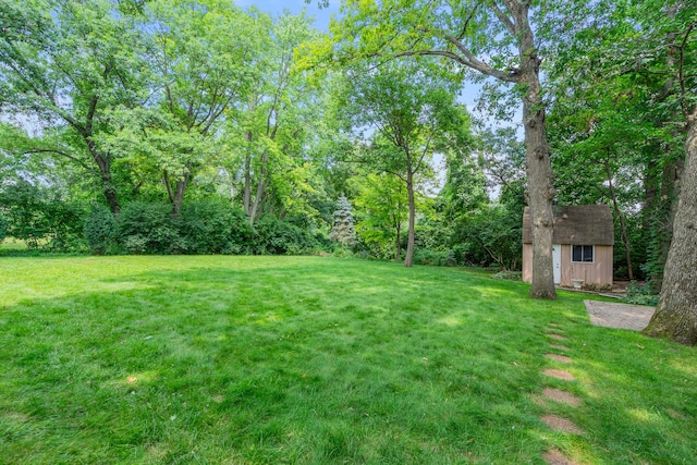 11S047 Palisades Rd, Burr Ridge, IL 60527 - photo 35