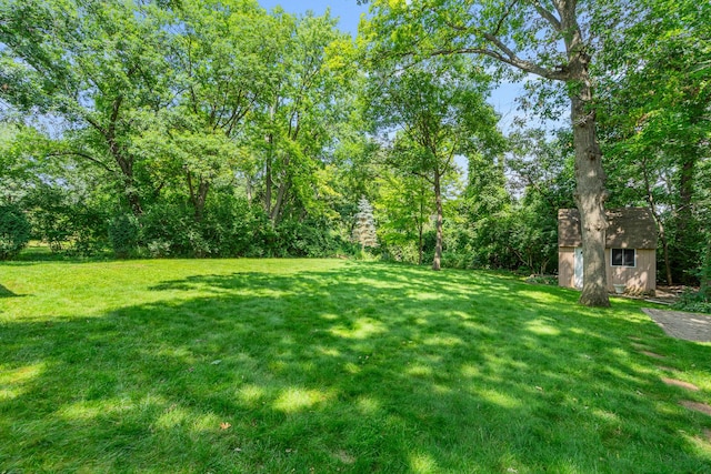 11S047 Palisades Rd, Burr Ridge, IL 60527 - photo 44