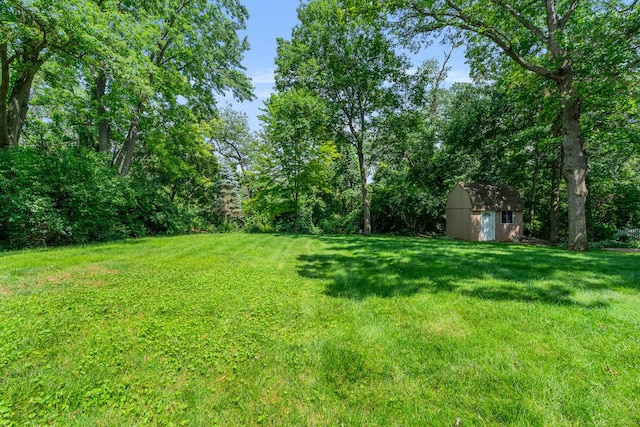 11S047 Palisades Rd, Burr Ridge, IL 60527 - photo 45