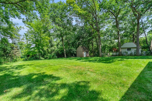 11S047 Palisades Rd, Burr Ridge, IL 60527 - photo 46