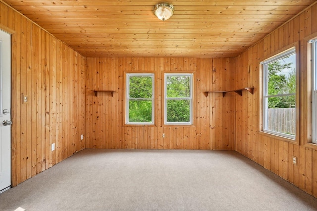 28549 W High Rd, Ingleside, IL 60041 - carpeted spare room featuring wood ceiling and wood walls