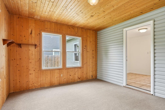 28549 W High Rd, Ingleside, IL 60041 - carpeted spare room with wood walls and wooden ceiling