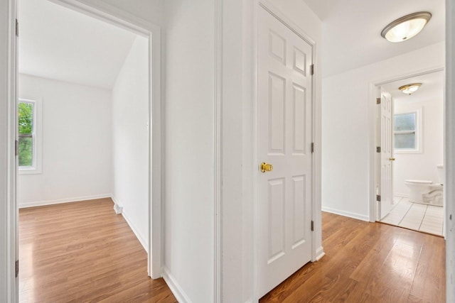 28549 W High Rd, Ingleside, IL 60041 - corridor with wood finished floors and baseboards