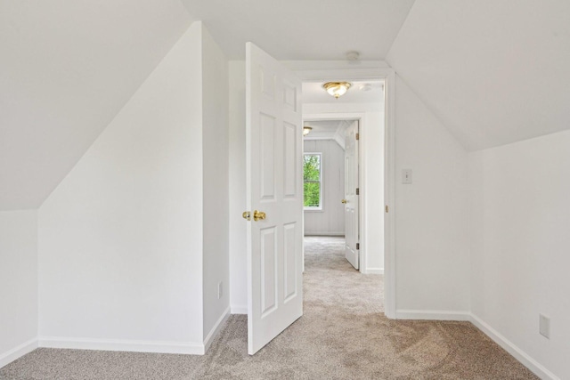28549 W High Rd, Ingleside, IL 60041 - additional living space with light carpet, lofted ceiling, and baseboards