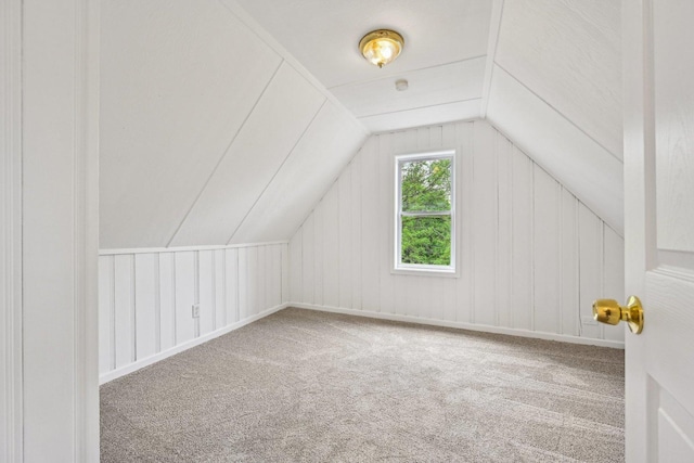 28549 W High Rd, Ingleside, IL 60041 - additional living space with carpet and vaulted ceiling