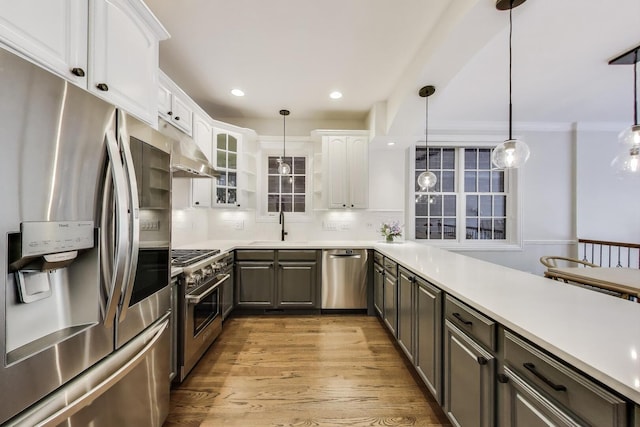 3506 N Southport Ave Unit 1N, Chicago, IL 60657 - kitchen featuring stainless steel appliances, under cabinet range hood, a sink, white cabinetry, and wood finished floors